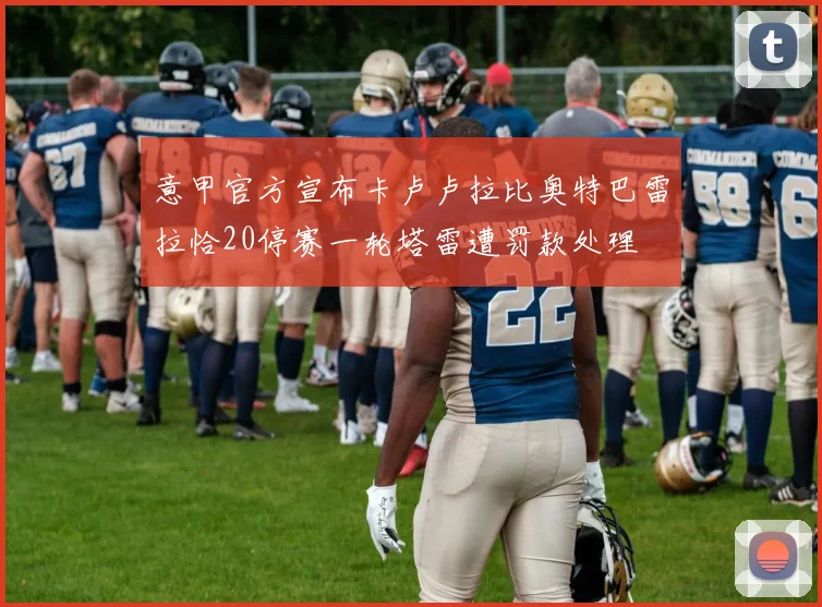 意甲官方宣布卡卢卢拉比奥特巴雷拉恰20停赛一轮塔雷遭罚款处理